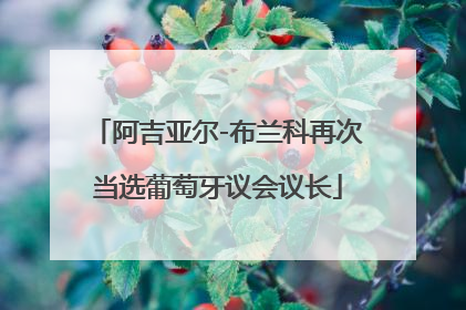 阿吉亚尔-布兰科再次当选葡萄牙议会议长