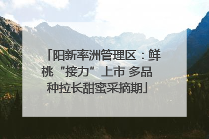 阳新率洲管理区：鲜桃“接力”上市 多品种拉长甜蜜采摘期