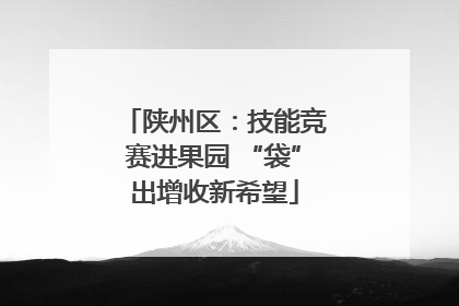陕州区：技能竞赛进果园 “袋”出增收新希望