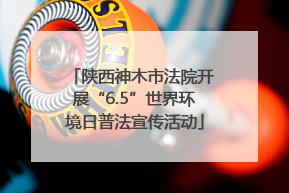 陕西神木市法院开展“6.5”世界环境日普法宣传活动