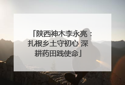 陕西神木李永亮：扎根乡土守初心 深耕药田践使命