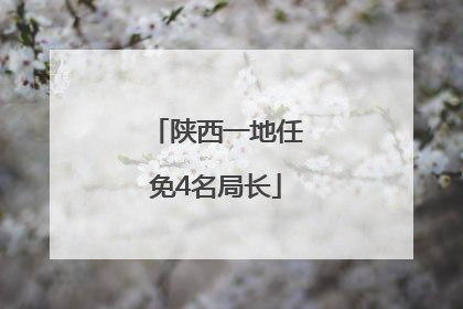 陕西一地任免4名局长
