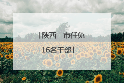 陕西一市任免16名干部