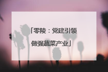 零陵：党建引领 做强蔬菜产业