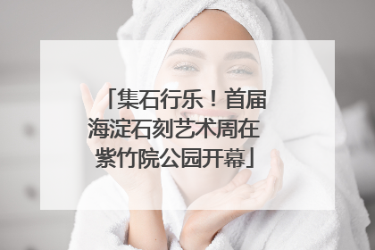 集石行乐！首届海淀石刻艺术周在紫竹院公园开幕
