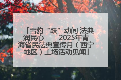 雪豹“跃”动间 法典润民心——2025年青海省民法典宣传月（西宁地区）主场活动见闻