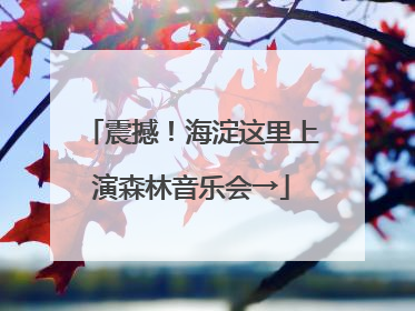 震撼！海淀这里上演森林音乐会→