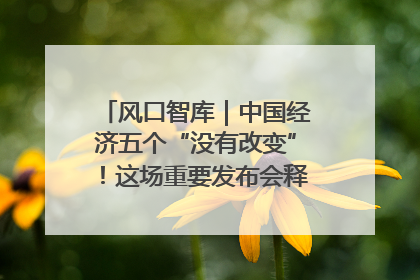 风口智库｜中国经济五个“没有改变”！这场重要发布会释放三点信号