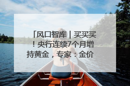 风口智库｜买买买！央行连续7个月增持黄金，专家：金价或仍易涨难跌