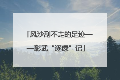风沙刮不走的足迹——彰武“逐绿”记