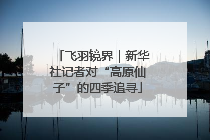 飞羽镜界｜新华社记者对“高原仙子”的四季追寻