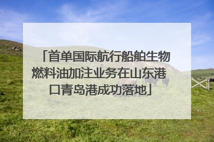 首单国际航行船舶生物燃料油加注业务在山东港口青岛港成功落地