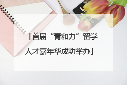首届“青和力”留学人才嘉年华成功举办