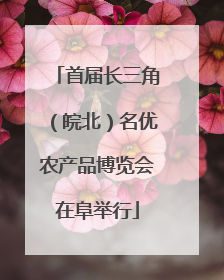首届长三角（皖北）名优农产品博览会在阜举行