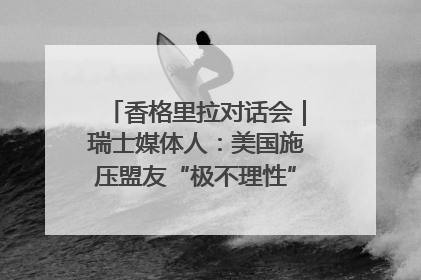 香格里拉对话会｜瑞士媒体人：美国施压盟友“极不理性” 欧洲国家无意与中国“脱钩断链”