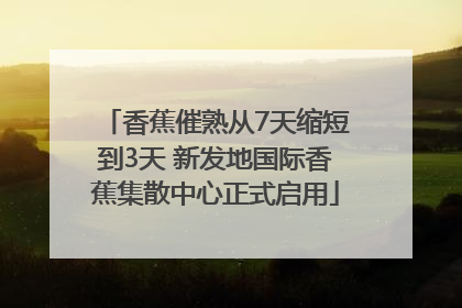 香蕉催熟从7天缩短到3天 新发地国际香蕉集散中心正式启用