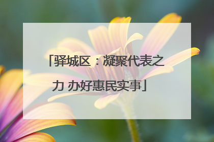 驿城区：凝聚代表之力 办好惠民实事
