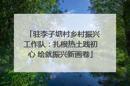 驻李子塘村乡村振兴工作队：扎根热土践初心 绘就振兴新画卷