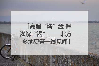 高温“烤”验 保灌解“渴”——北方多地夏管一线见闻