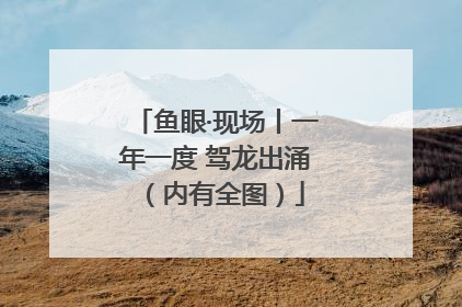鱼眼·现场丨一年一度 驾龙出涌（内有全图）