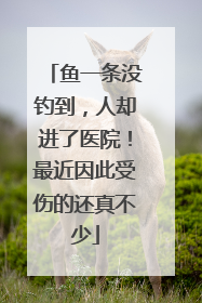 鱼一条没钓到，人却进了医院！最近因此受伤的还真不少