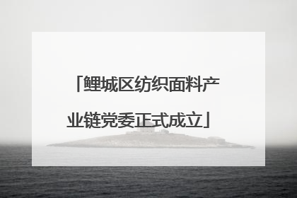 鲤城区纺织面料产业链党委正式成立