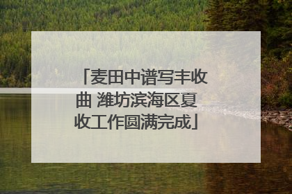 麦田中谱写丰收曲 潍坊滨海区夏收工作圆满完成
