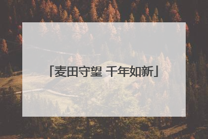 麦田守望 千年如新