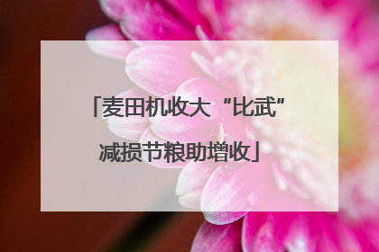 麦田机收大“比武” 减损节粮助增收