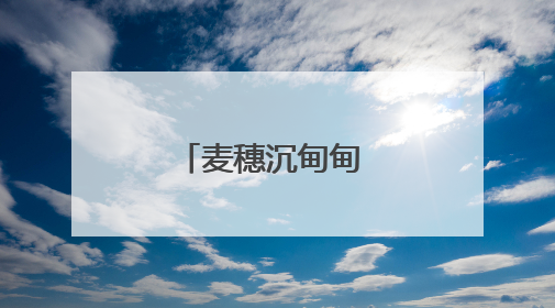 麦穗沉甸甸 粮安稳当当