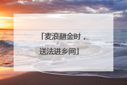 麦浪翻金时，送法进乡间