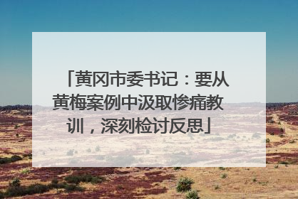 黄冈市委书记：要从黄梅案例中汲取惨痛教训，深刻检讨反思
