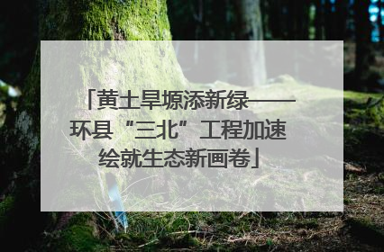 黄土旱塬添新绿——环县“三北”工程加速绘就生态新画卷