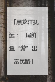 黑龙江抚远：一尾鲜鱼“游”出富民路