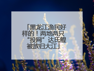 黑龙江渔民好样的！两地两只“投网”达氏鳇被放归大江