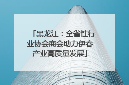 黑龙江：全省性行业协会商会助力伊春产业高质量发展