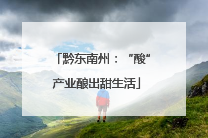 黔东南州：“酸”产业酿出甜生活