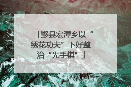 黟县宏潭乡以“绣花功夫”下好整治“先手棋”