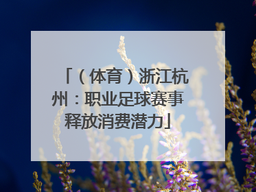 （体育）浙江杭州：职业足球赛事释放消费潜力