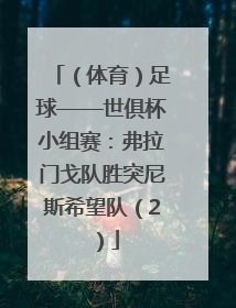 （体育）足球——世俱杯小组赛：弗拉门戈队胜突尼斯希望队（2）