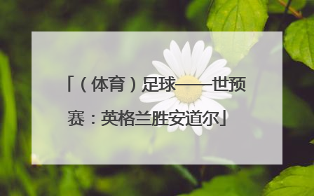 （体育）足球——世预赛：英格兰胜安道尔