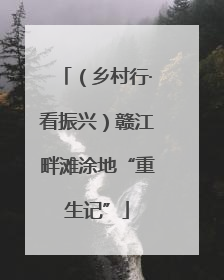 （乡村行·看振兴）赣江畔滩涂地“重生记”