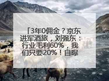 3年0佣金？京东进军酒旅，刘强东：行业毛利60%，我们只要20%！自曝曾请王兴吃饭“我要做外卖了”