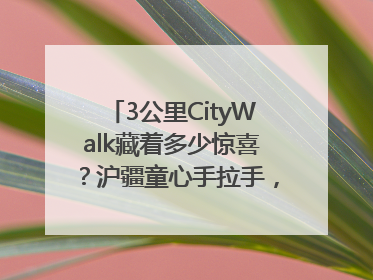 3公里CityWalk藏着多少惊喜？沪疆童心手拉手，“益起走”