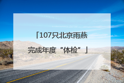 107只北京雨燕完成年度“体检”