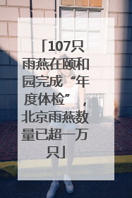 107只雨燕在颐和园完成“年度体检”，北京雨燕数量已超一万只