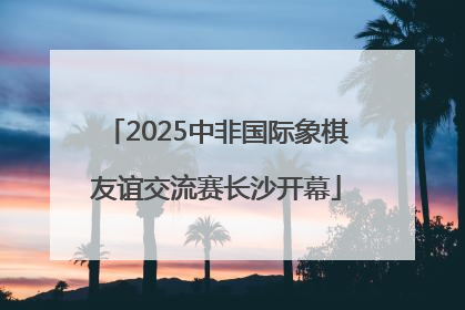 2025中非国际象棋友谊交流赛长沙开幕