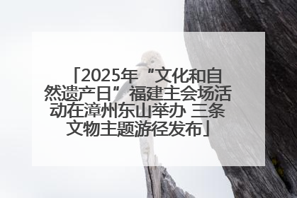 2025年“文化和自然遗产日”福建主会场活动在漳州东山举办 三条文物主题游径发布