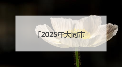 2025年大同市科技活动周开幕