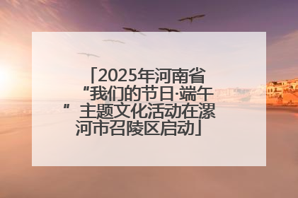 2025年河南省“我们的节日·端午”主题文化活动在漯河市召陵区启动